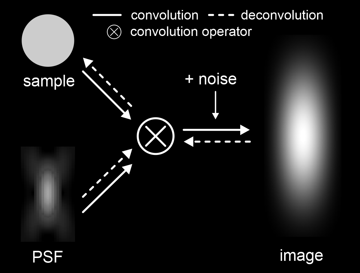 Principle of deconvolution